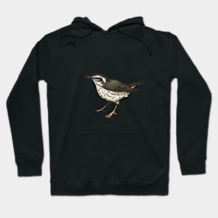 Louisiana Waterthrush Hoodie